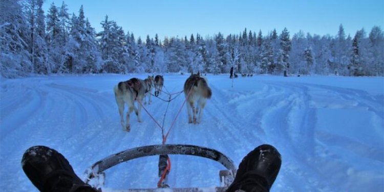Top 10 interesting and amusing facts about Finland