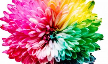 18 Crazy Facts about Color
