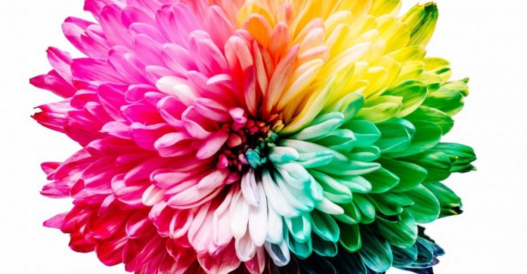 18 Crazy Facts about Color