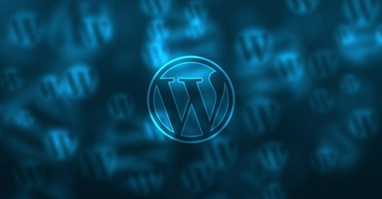 11 Wonderful Facts about WordPress