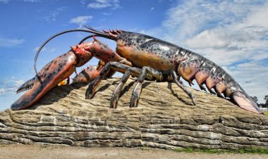 18 Luxury Facts about Lobsters