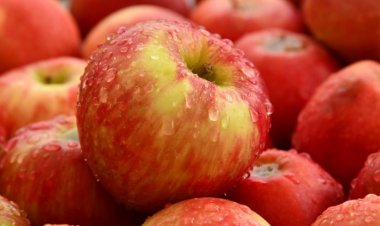 15 Ace Facts about Apples