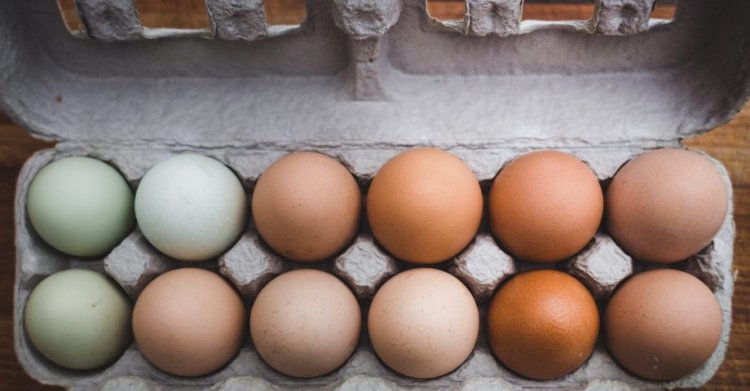 13 Cracking Facts about Eggs