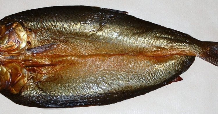 23 Hefty Facts about Herring