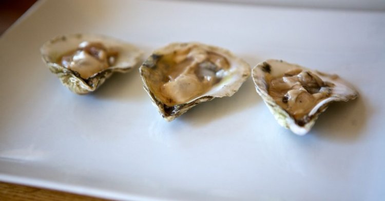13 Organic Facts about Oysters