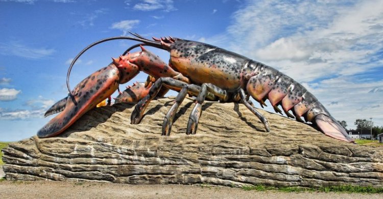 18 Luxury Facts about Lobsters
