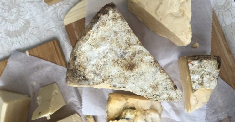 13 Fun Facts about Cheese