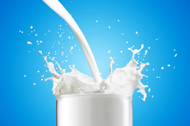 11 Must Know Facts about Milk