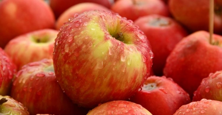 15 Ace Facts about Apples