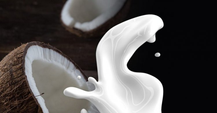 10 Delicious Facts about Coconut Milk