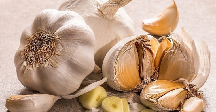 12 Genius Facts about Garlic