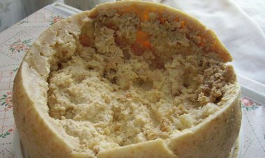 Is it true that insects can "make" cheese?