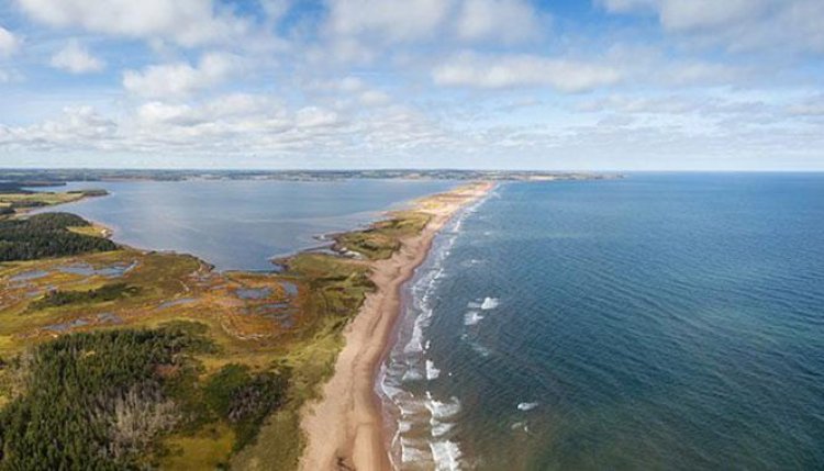 The longest coastline